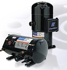ZF-ZB